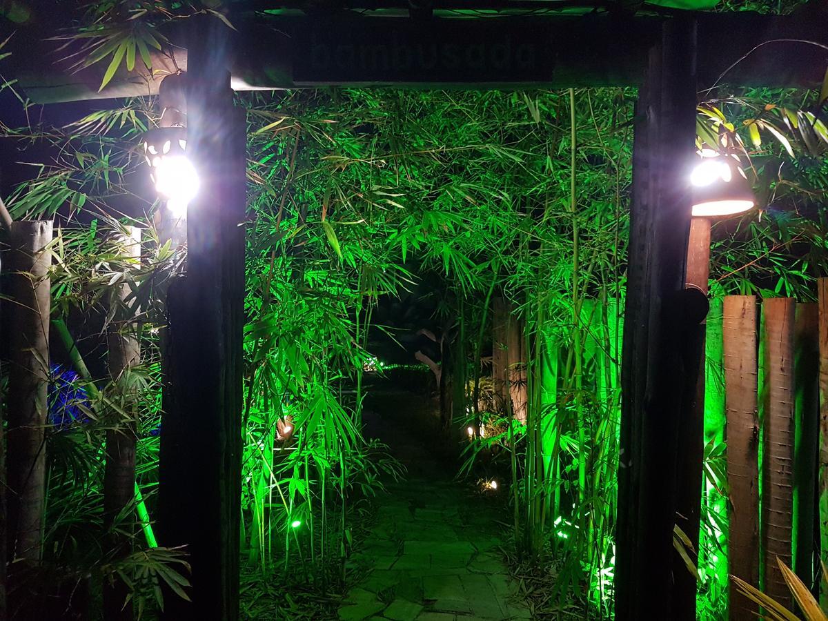 Bambusada Boutique Hotel 卡纳维埃拉斯 外观 照片
