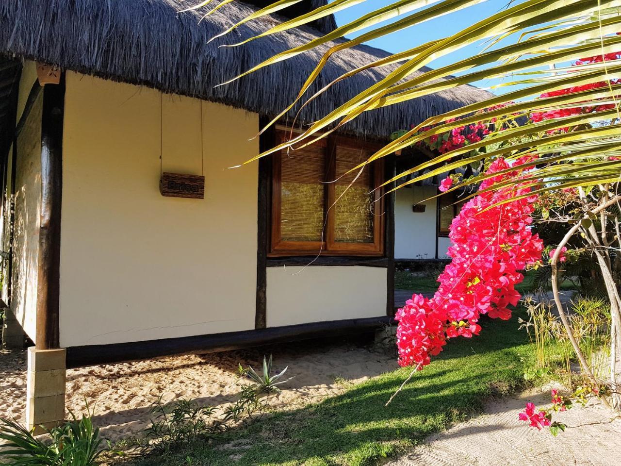 Bambusada Boutique Hotel 卡纳维埃拉斯 外观 照片